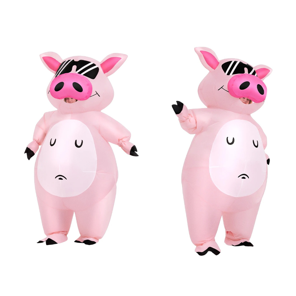 Cartoon Dier Biggetje Opblaasb - Costumes recensie en prijs